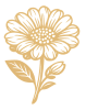 fiore-2
